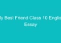 My Best Friend Class 10 English Essay